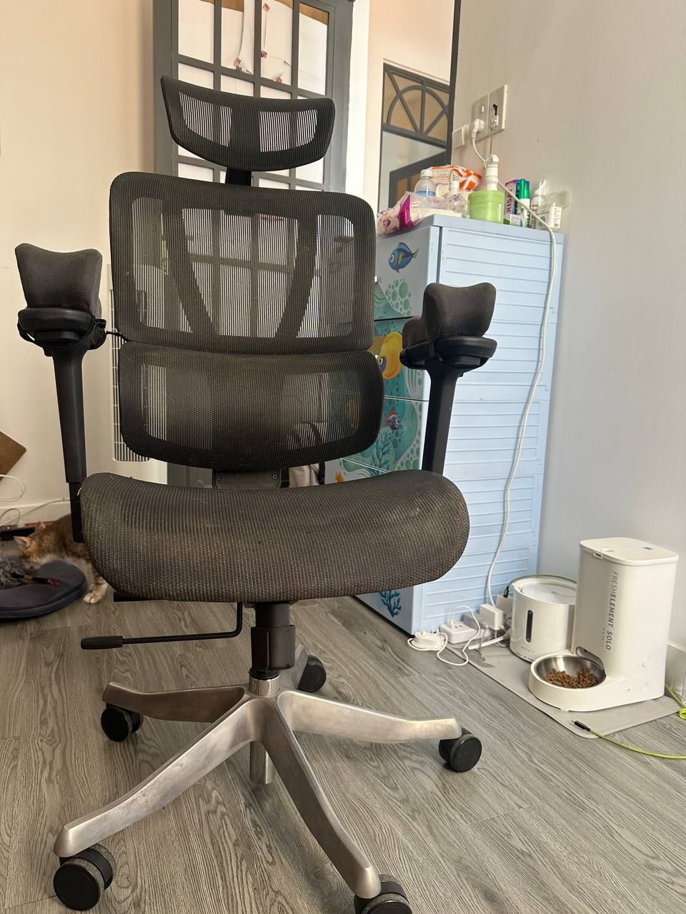 Продам эргономичное компьютерное кресло SMA Furniture Lumbar 03.