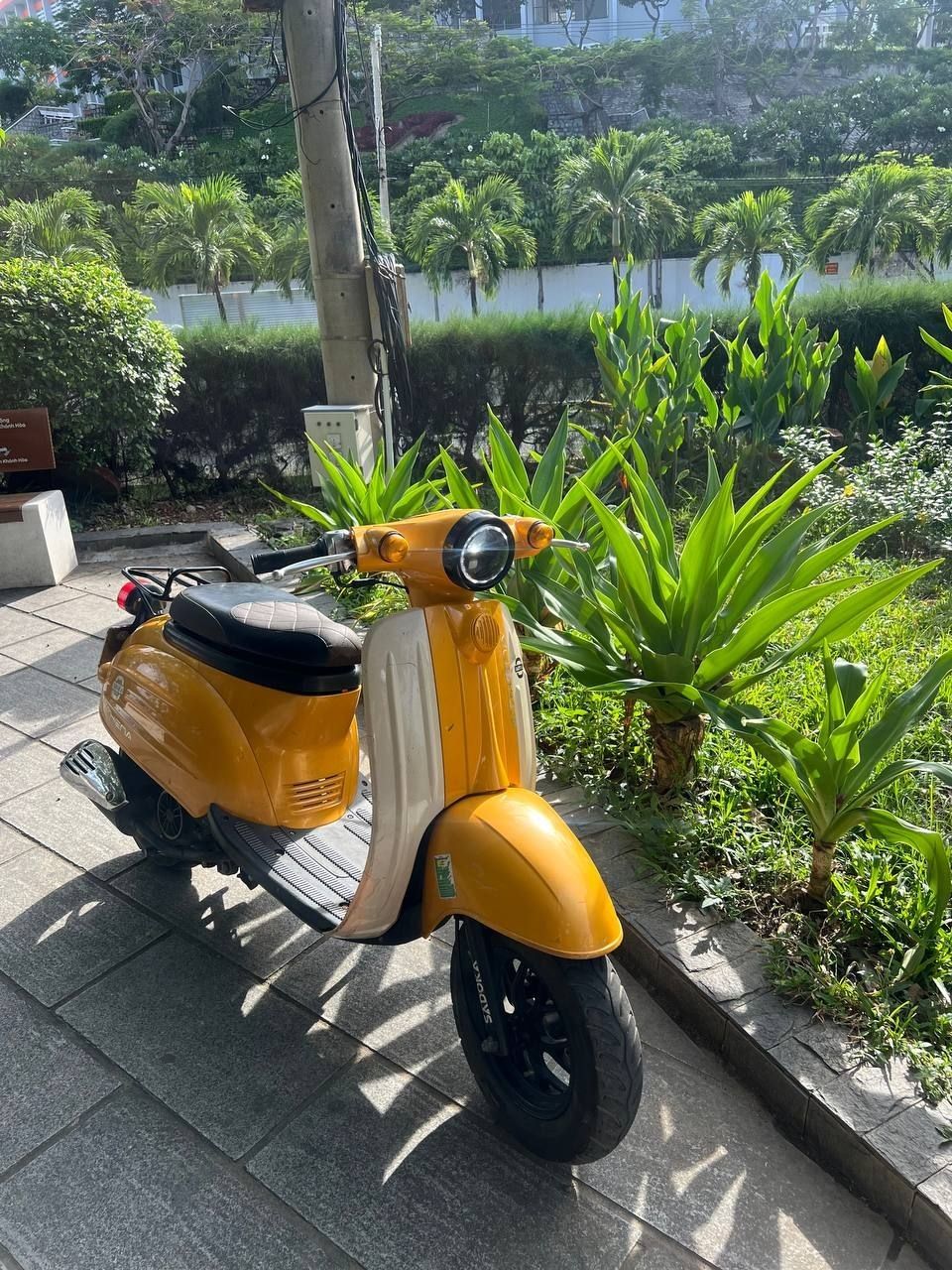 Sadoka Athena 2022 | 50cc