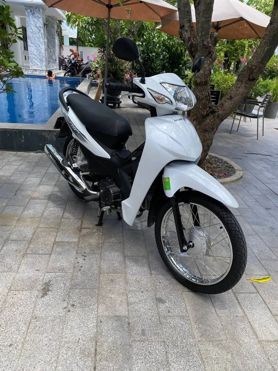 Продаётся новый скутер Honda Wave Alpha (2026) в Нячанге!