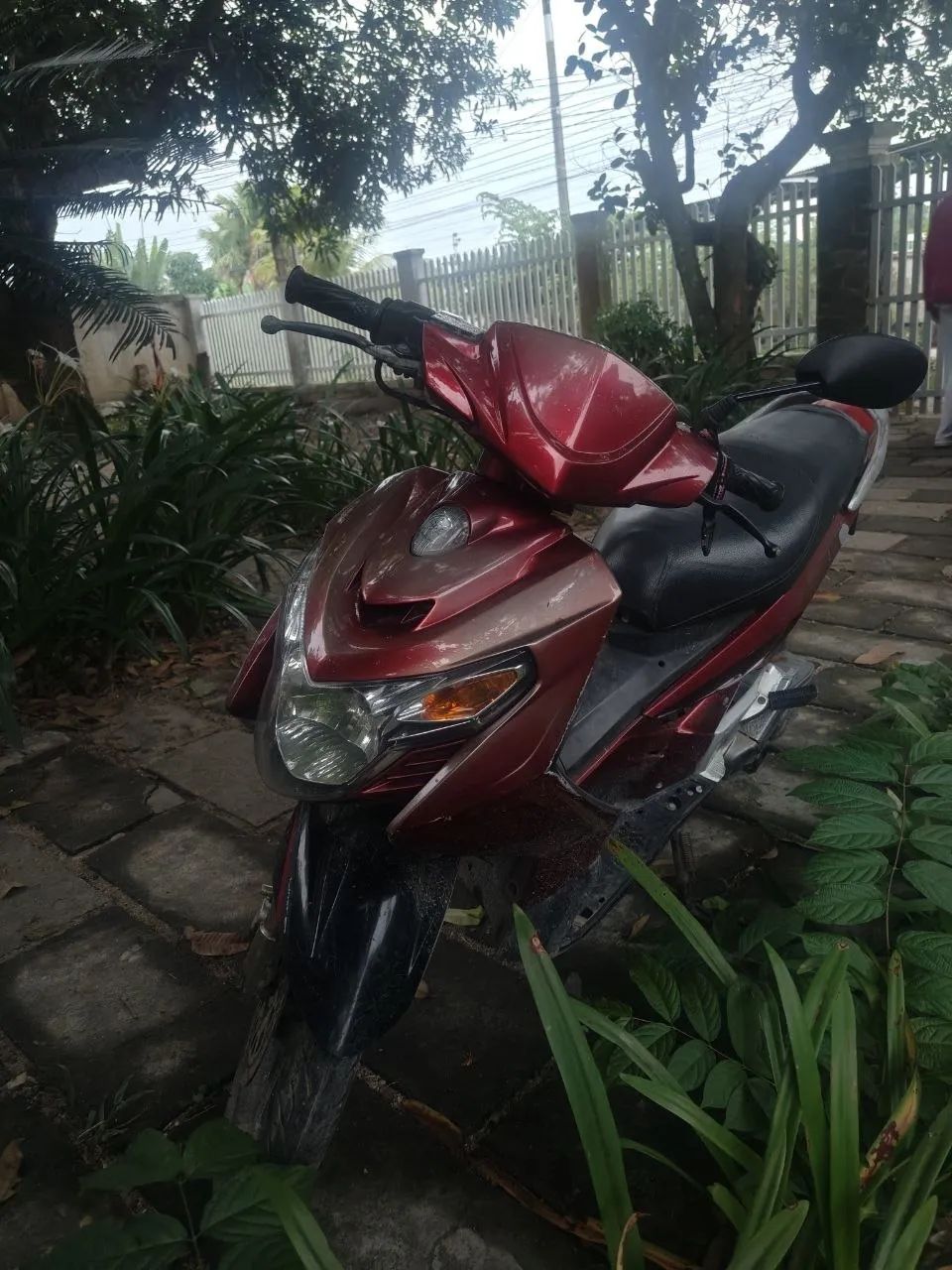 Yamaha Nouvo 3