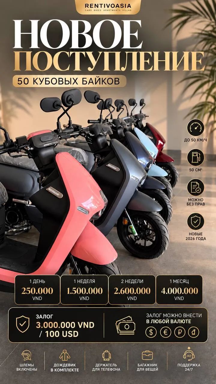 🛵 НОВОЕ ПОСТУПЛЕНИЕ В RENTIVOASIA! 🛵