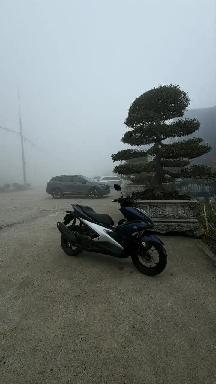 Нячанг. Продам YAMAHA NVX 125cc 2018 года, пробег 40к, 20.5млн