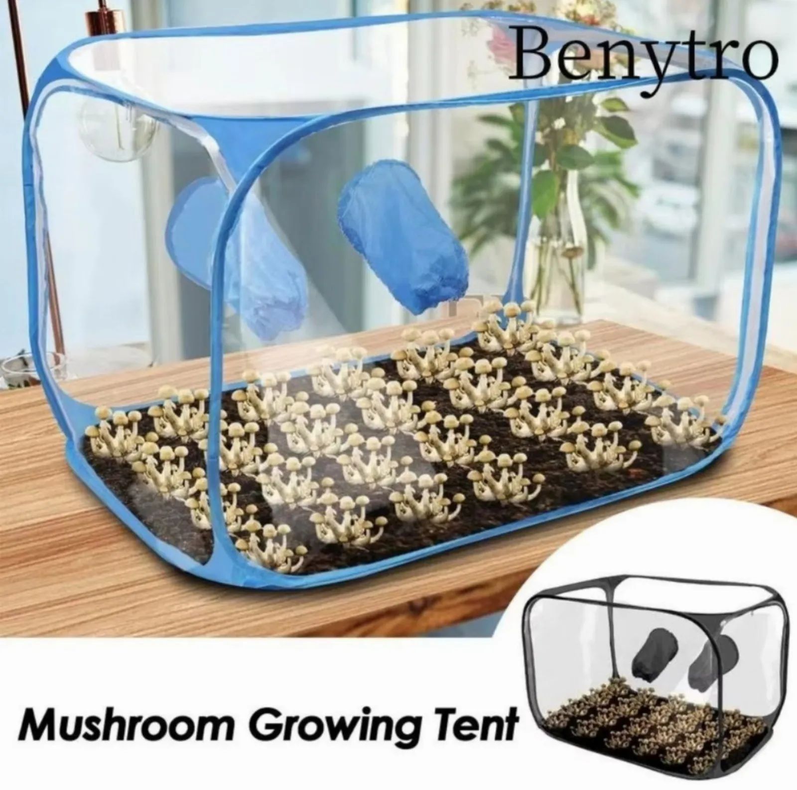 Growing box / air box