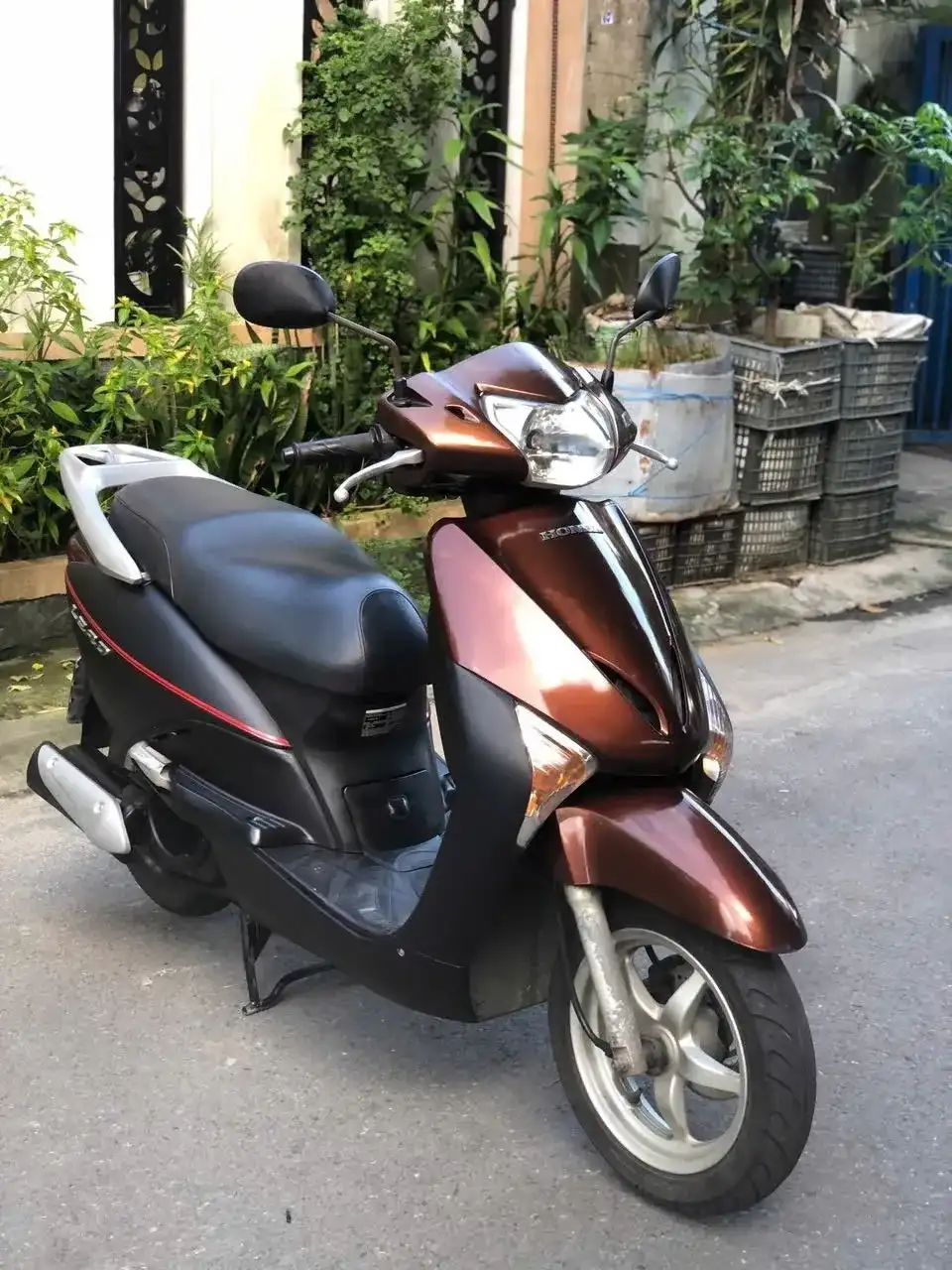 Honda Lead