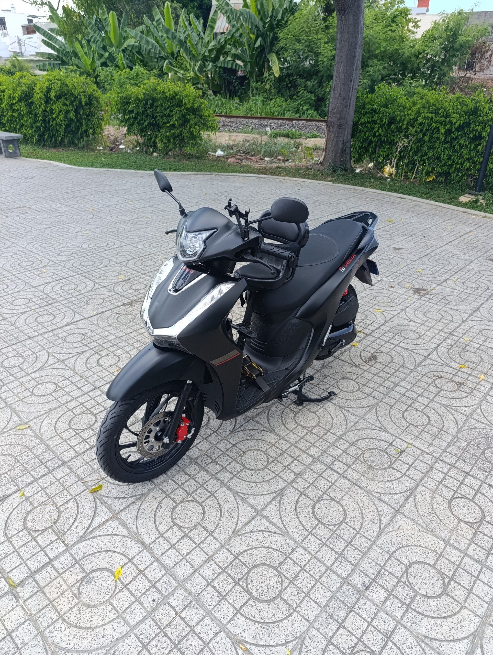 Velia 50cc.