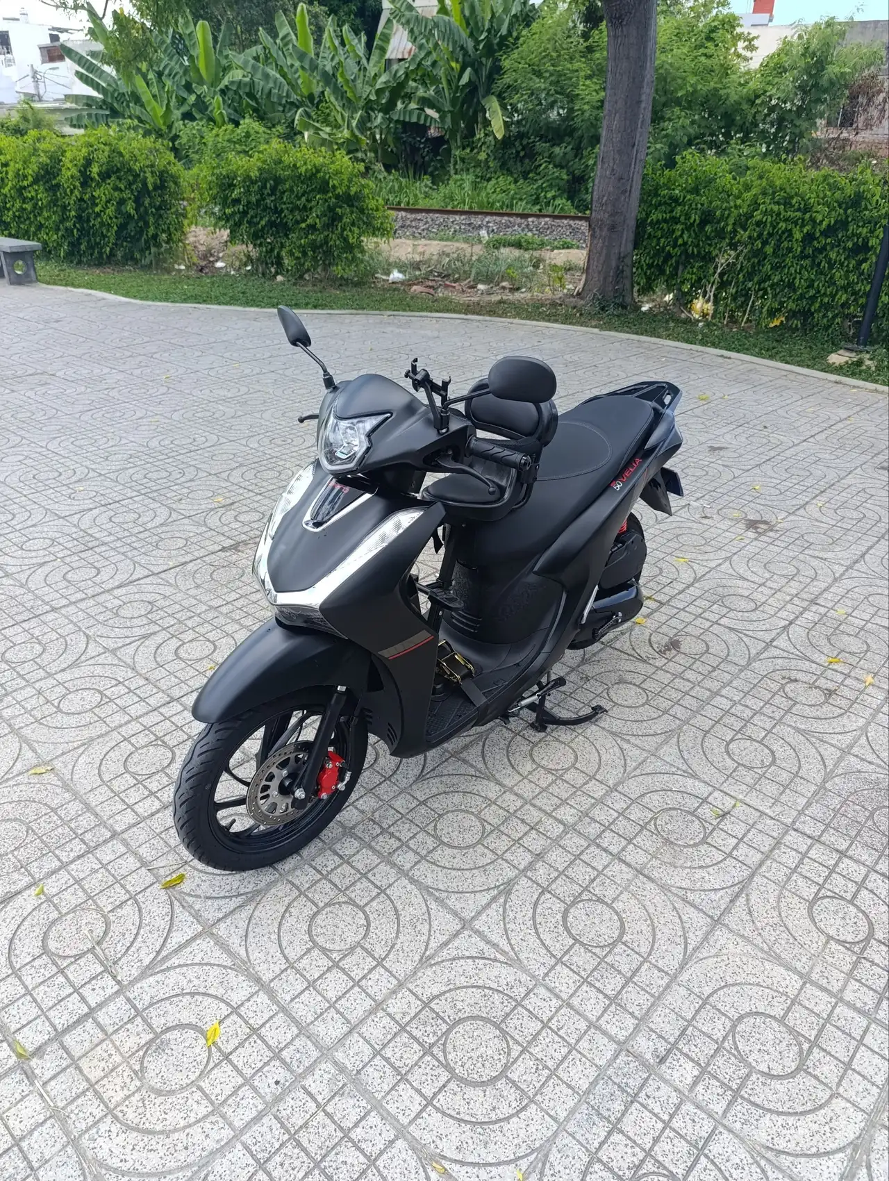 Velia 50cc.