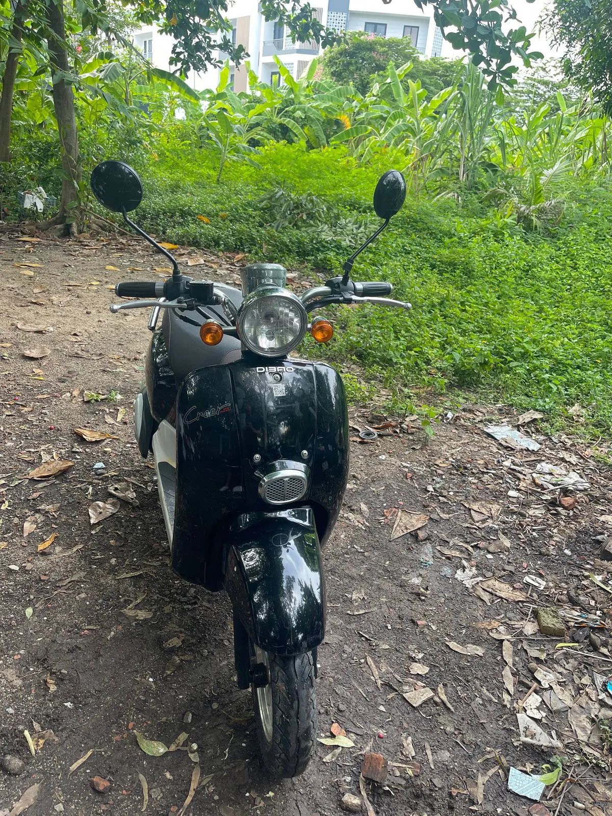 🛵Dibao Crea 50cc.