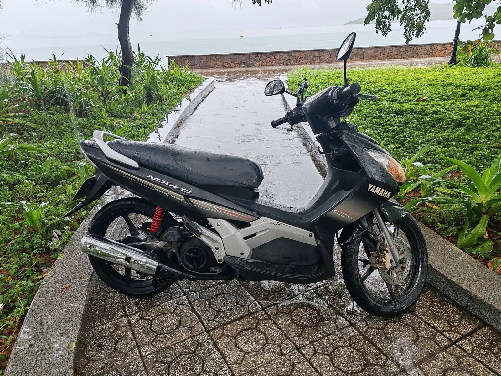 🛵 Продам Yamaha Nouvo